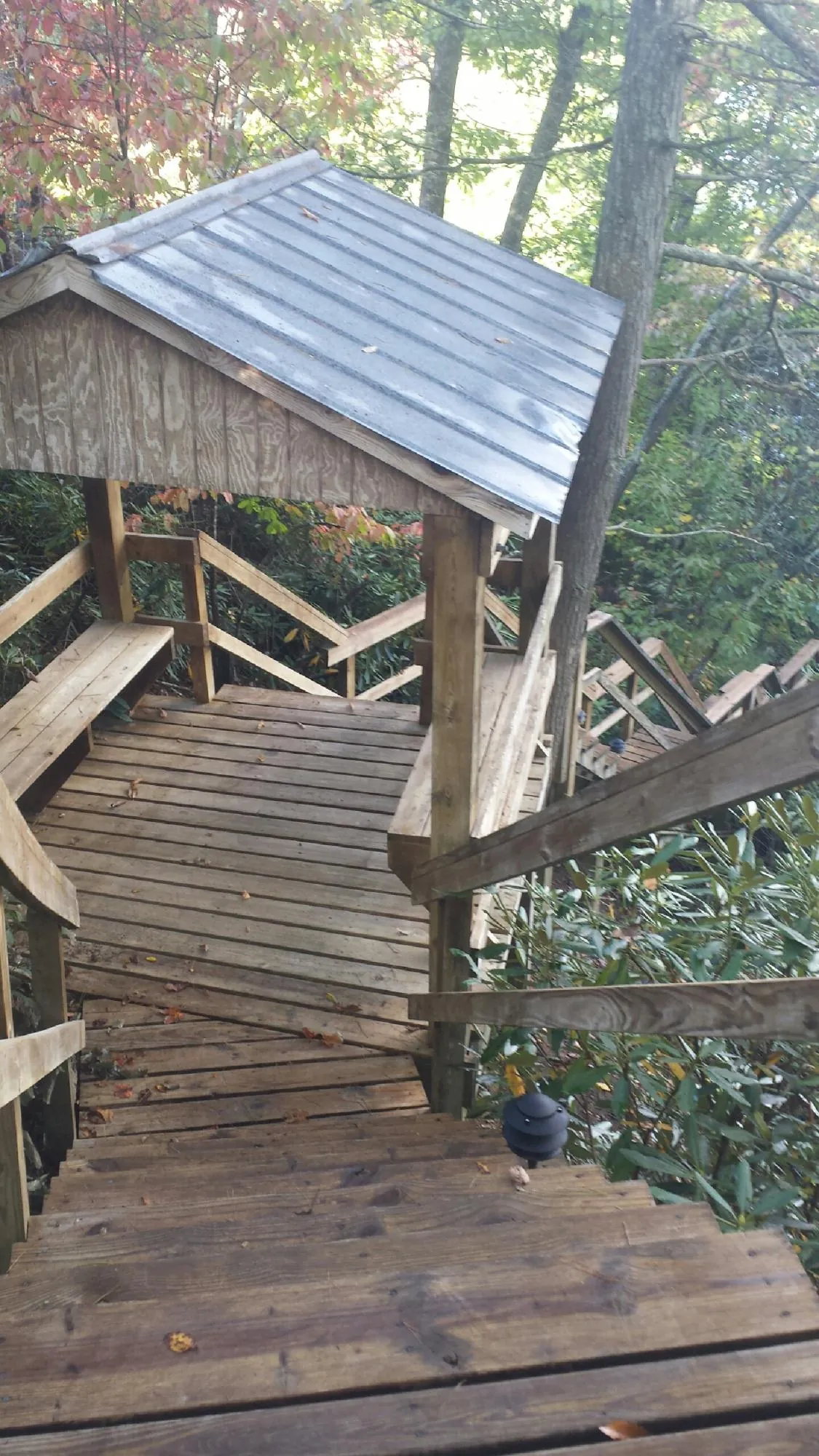 Metal roofed shelter over wooden steps on a wooded walkway — Skylight Repair & Installation work by our crew in Hallwood